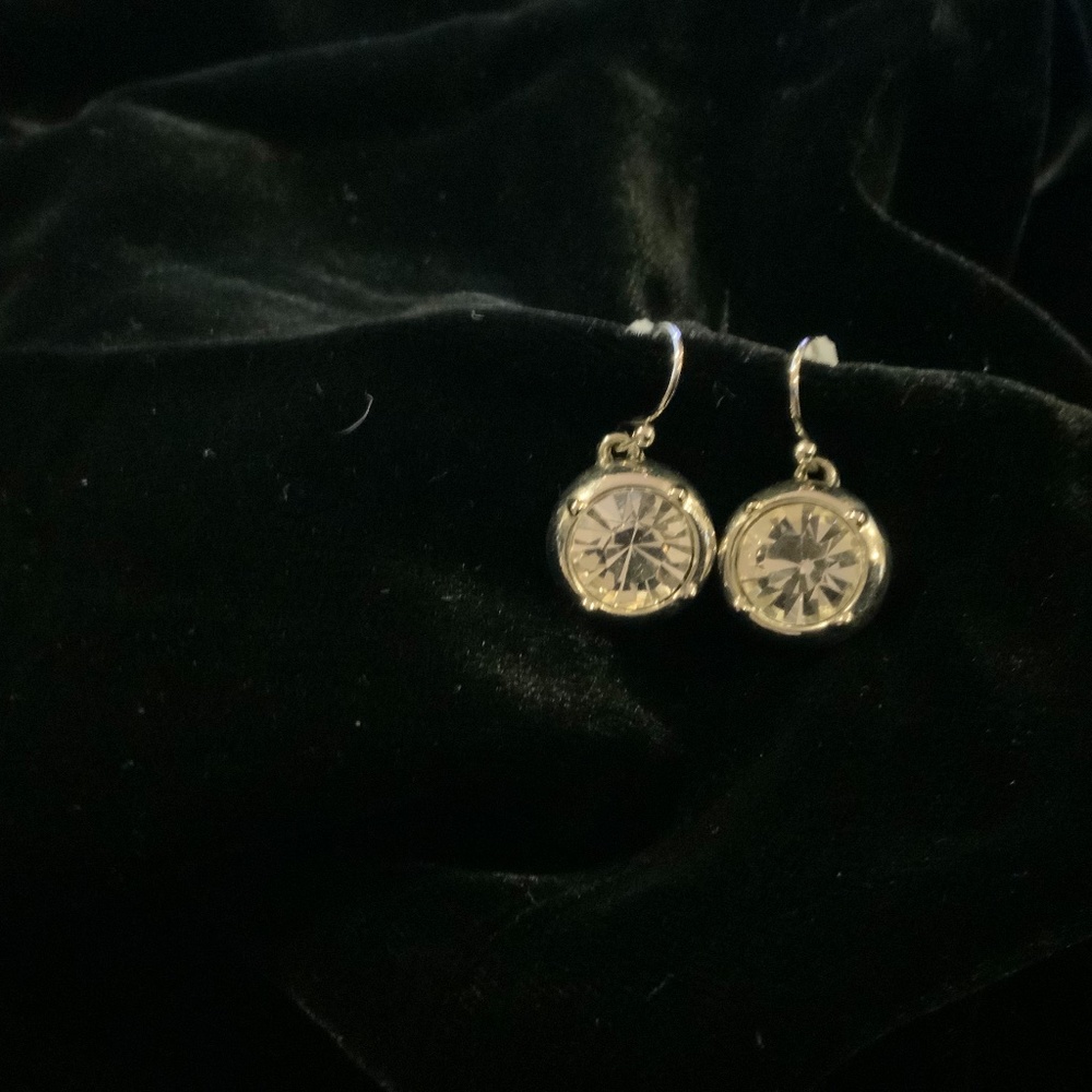 Clear round dangle earring